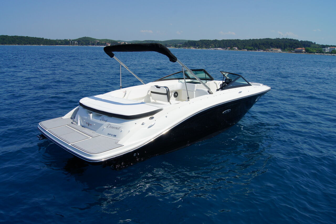 Sea Ray 210 SPX - picture 2