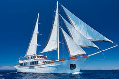 Sailing Yacht 48 mt - picture 1