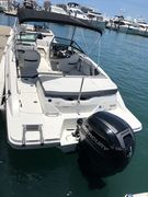 Sea Ray 19 SPX - picture 2