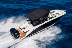 Sea Ray 290 SDX - picture 7